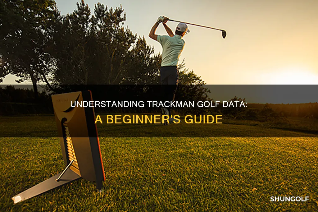 how to read trackman golf data
