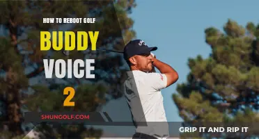 Rebooting Golf Buddy Voice 2: Quick Troubleshooting Guide for Success