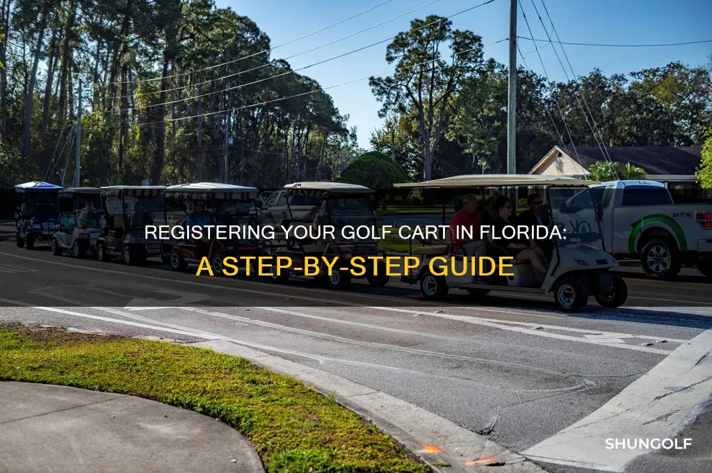 how to register a golf cart in florida