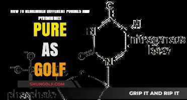 Mastering Purines & Pyrimidines: A Simple Golf-Inspired Memory Trick