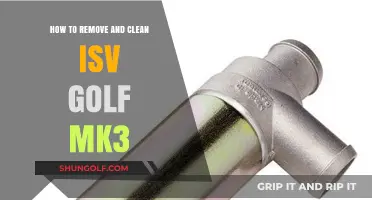 Complete Guide: Removing and Cleaning ISV on Your Golf MK3