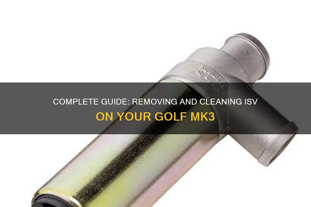 how to remove and clean isv golf mk3