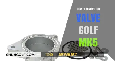 Step-by-Step Guide: Removing EGR Valve on Volkswagen Golf Mk5