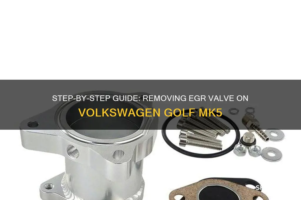how to remove egr valve golf mk5