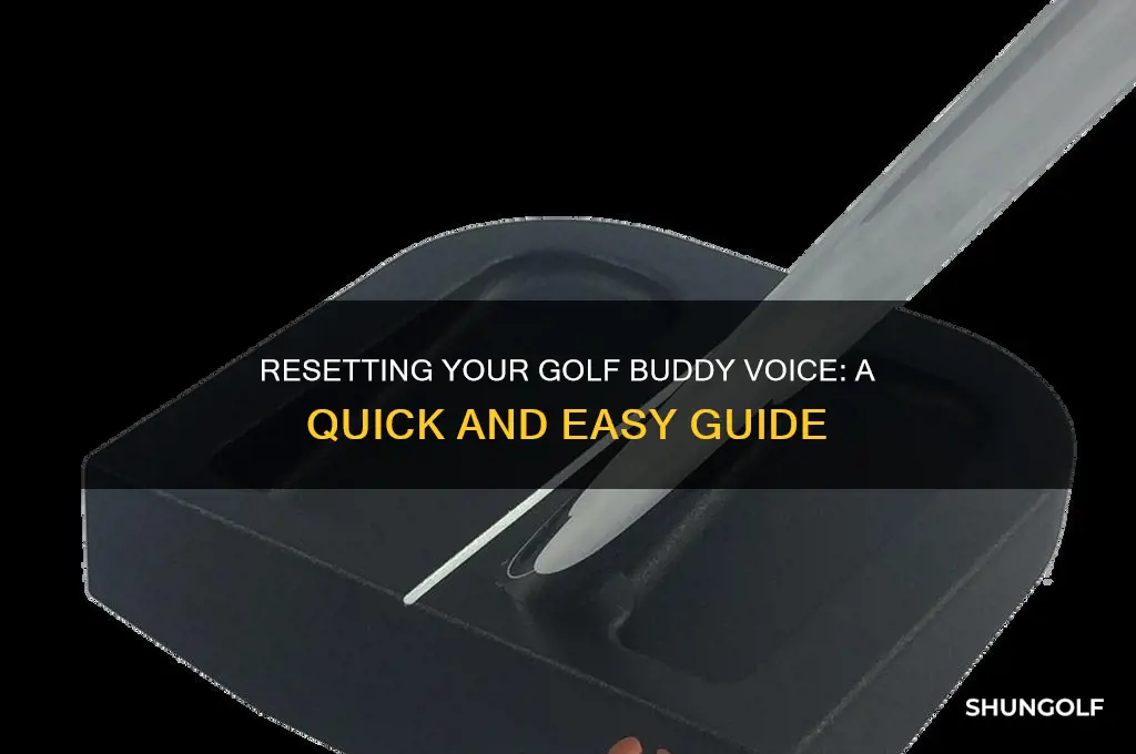 how to reset the golf buddy voice