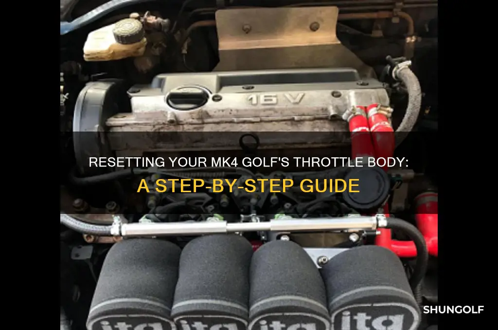 how to reset throttle body mk4 golf