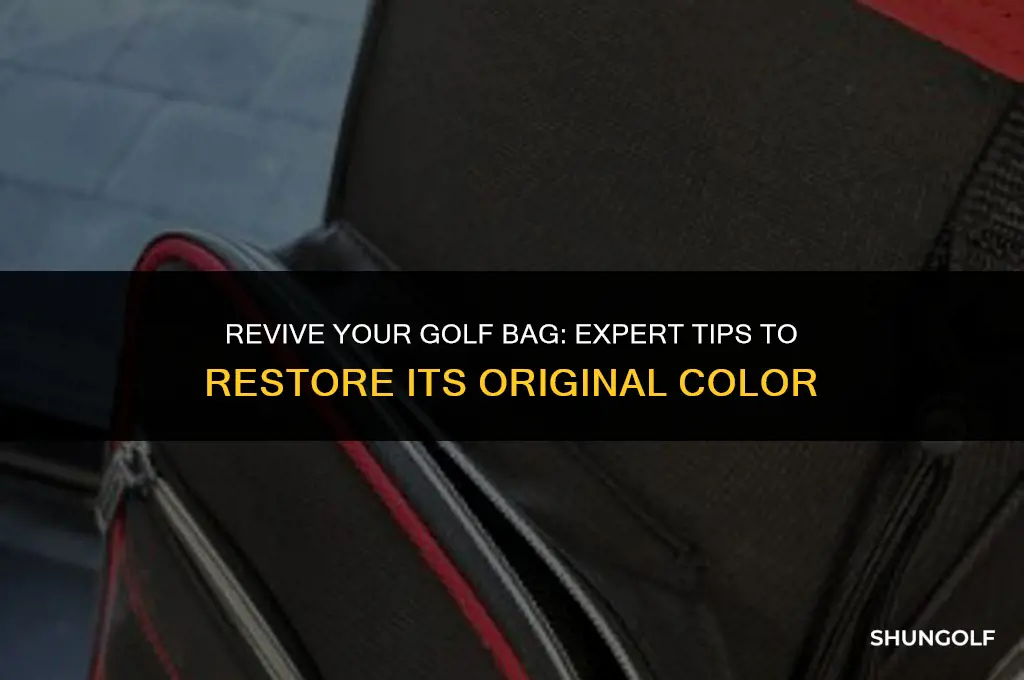 how to restore golf bag color