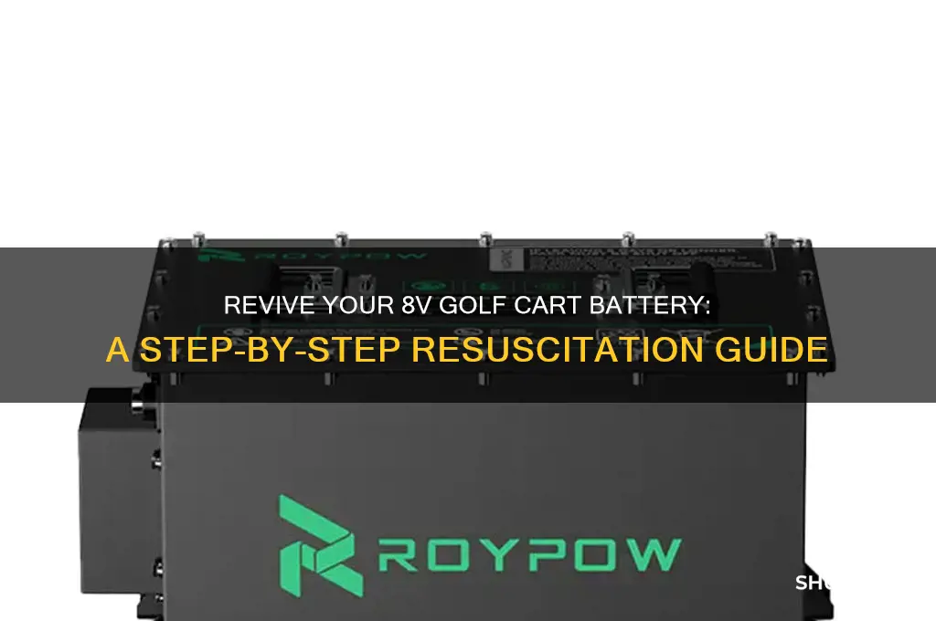 how to resuscitate 8v golf car battery