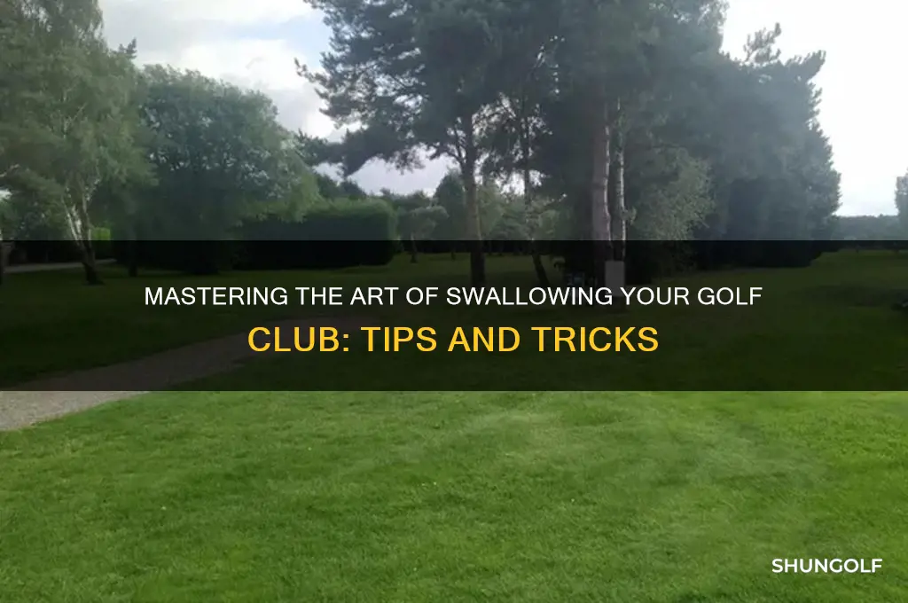 how to sallow golf club