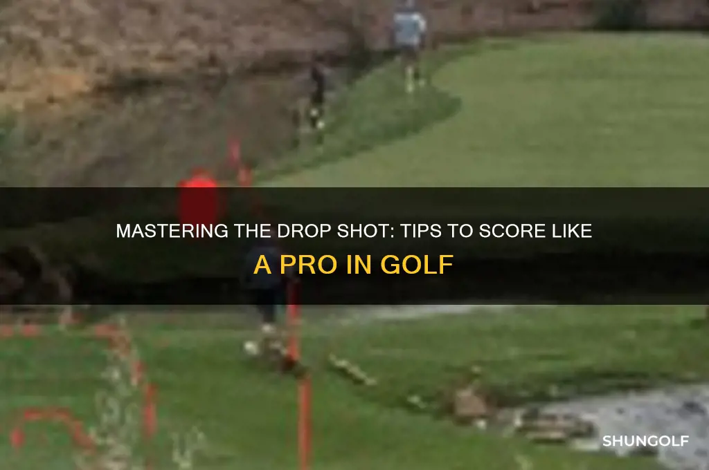 how to score a drop in golf