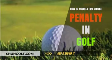 Avoiding the Double Bogey: Understanding Golf's Two Stroke Penalty