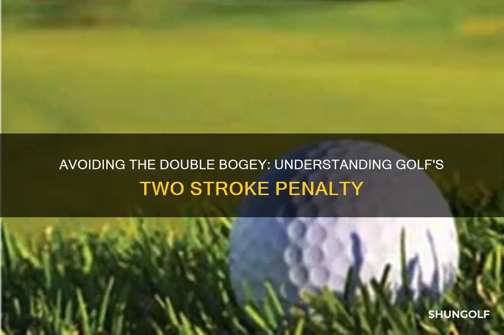 how to score a two stroke penalty in golf