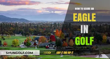 Mastering the Eagle: Strategies to Score Big in Golf