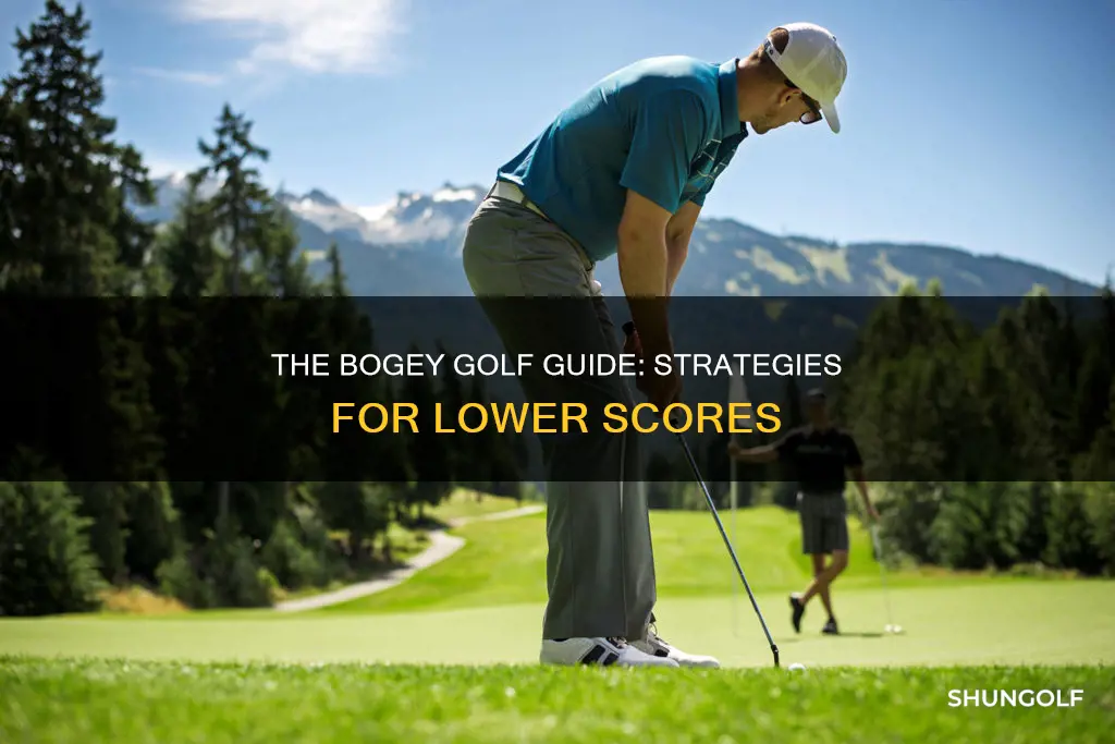 how to score bogey golf