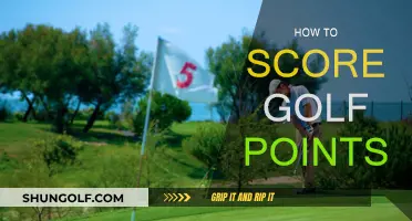 Golf Scoring Basics: Mastering the Point System