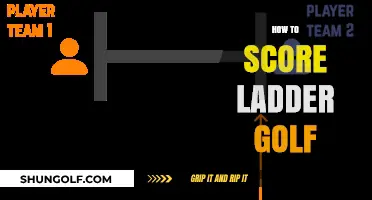 Strategies for Scoring High in Ladder Golf