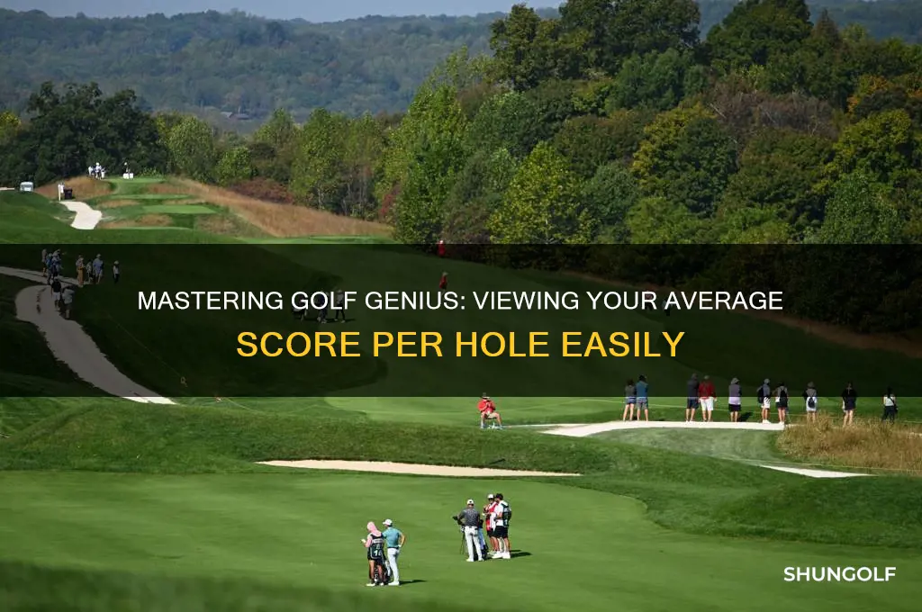 how to see average score per hole on golf genius