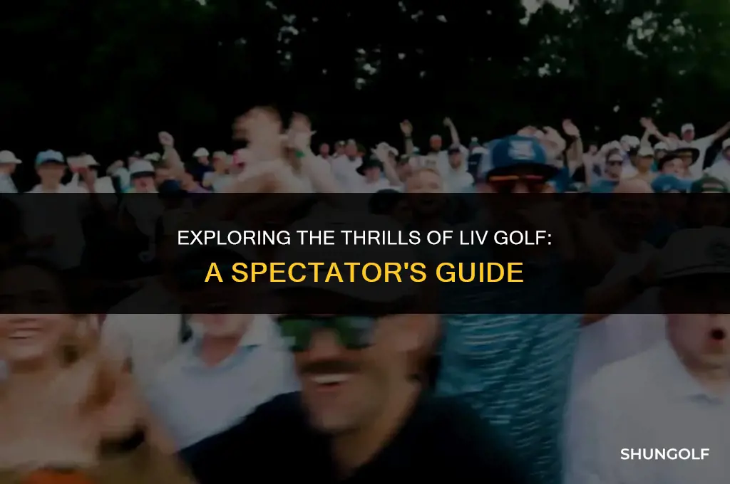 how to see liv golf