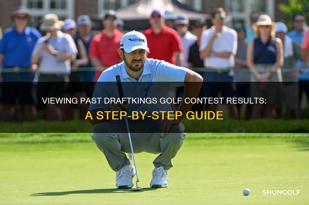 how to see result from past draft kings contests golf