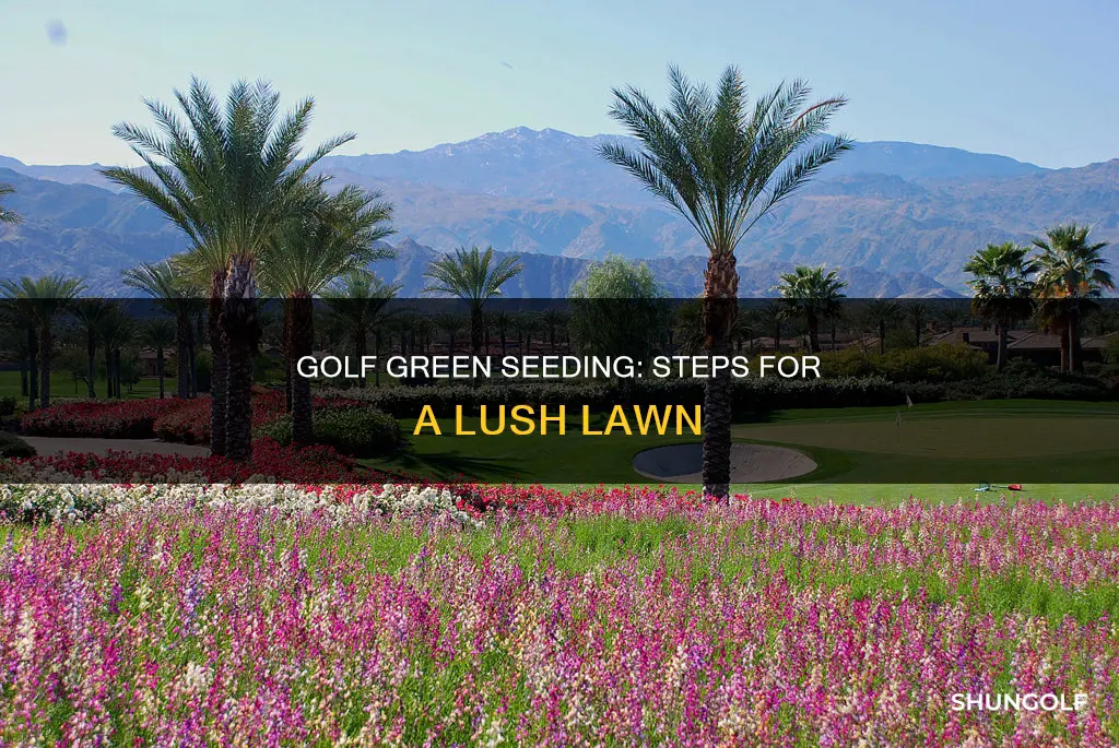 how to seed a golf green