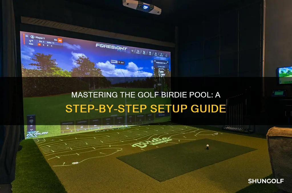 how to set up a golf birdie pool