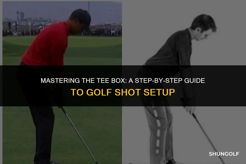 how to set up for a golf shot