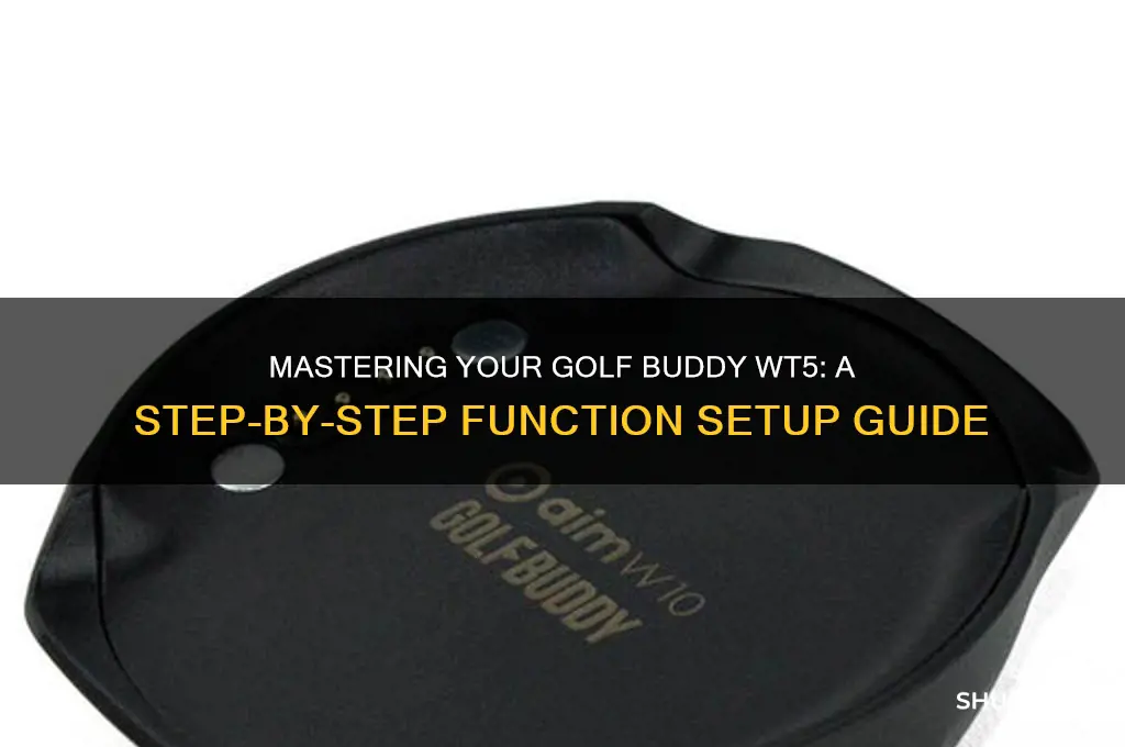 how to set up functions on a golf buddy wt5