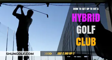 Mastering the Hybrid: A Step-by-Step Guide to Perfect Setup