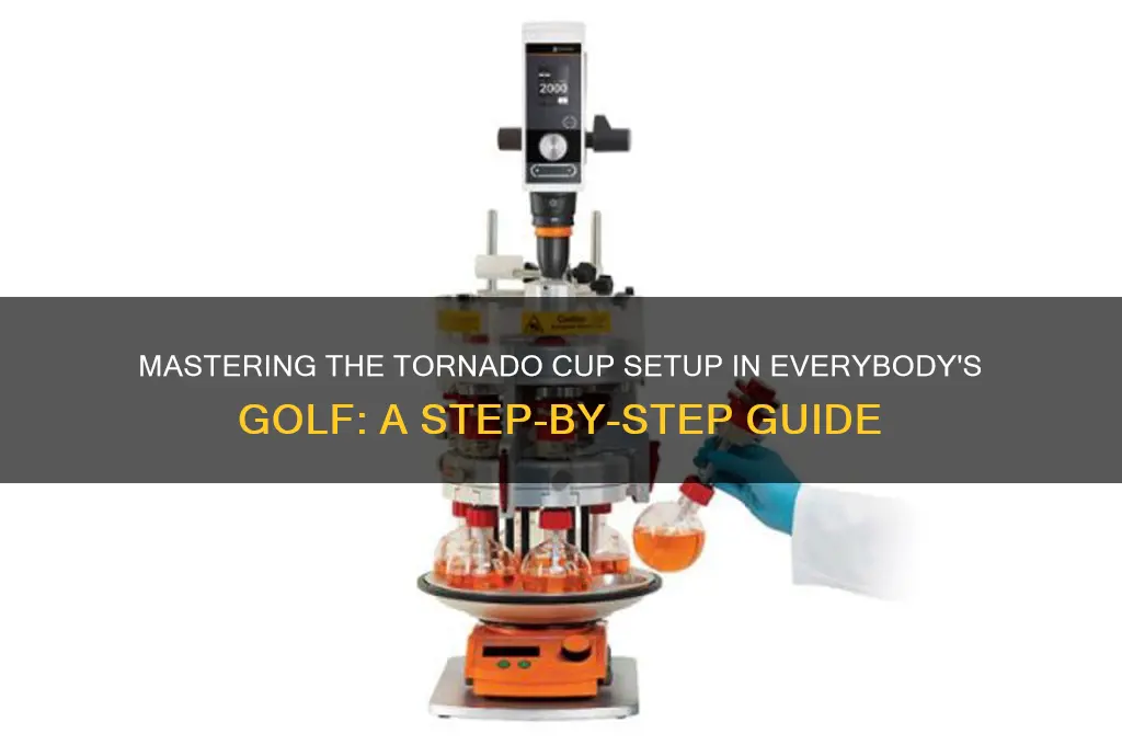 how to set up tornado cup in everybody