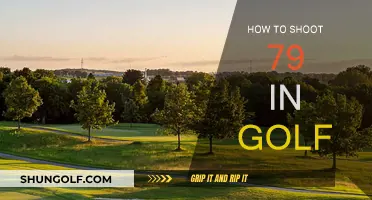 Golfing 79: Strategies for Success on the Course