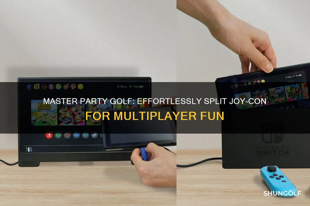 how to split joy con for party golf