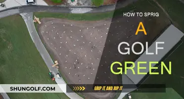 The Ultimate Guide to Sprigging Your Golf Green