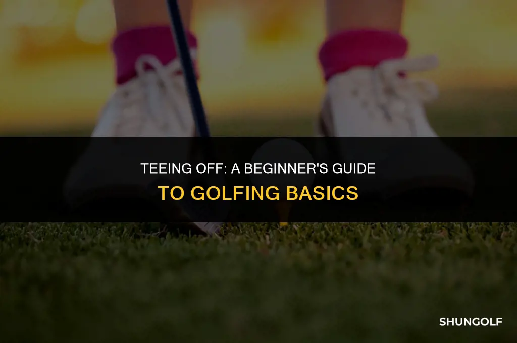 how to start a new golfer