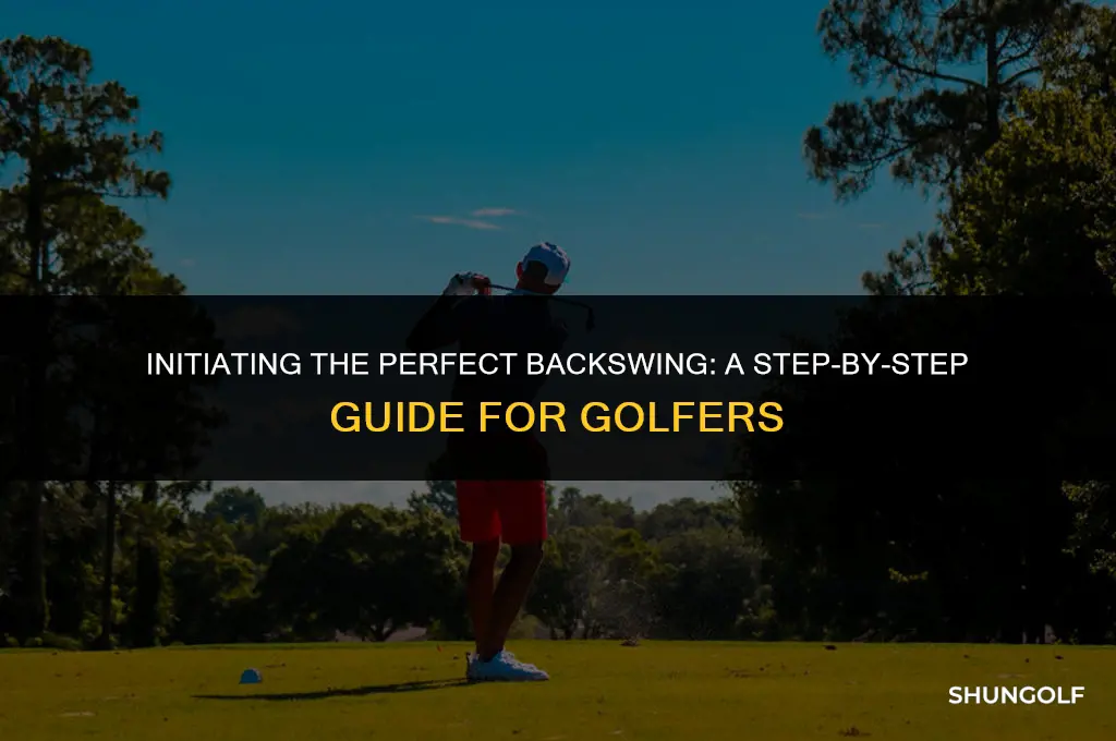 how to start the backswing malaska golf