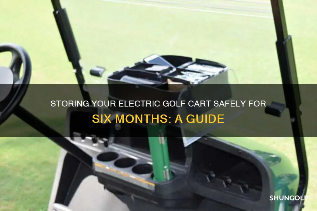 how to store an electric golf cart for 6 months