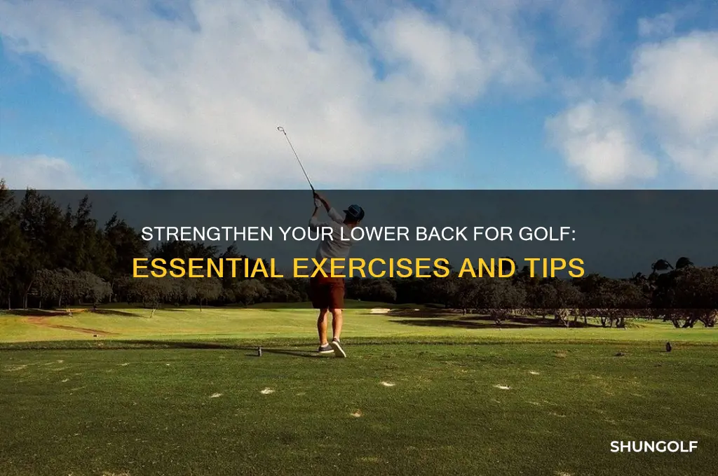 how to strengthen lower back for golf