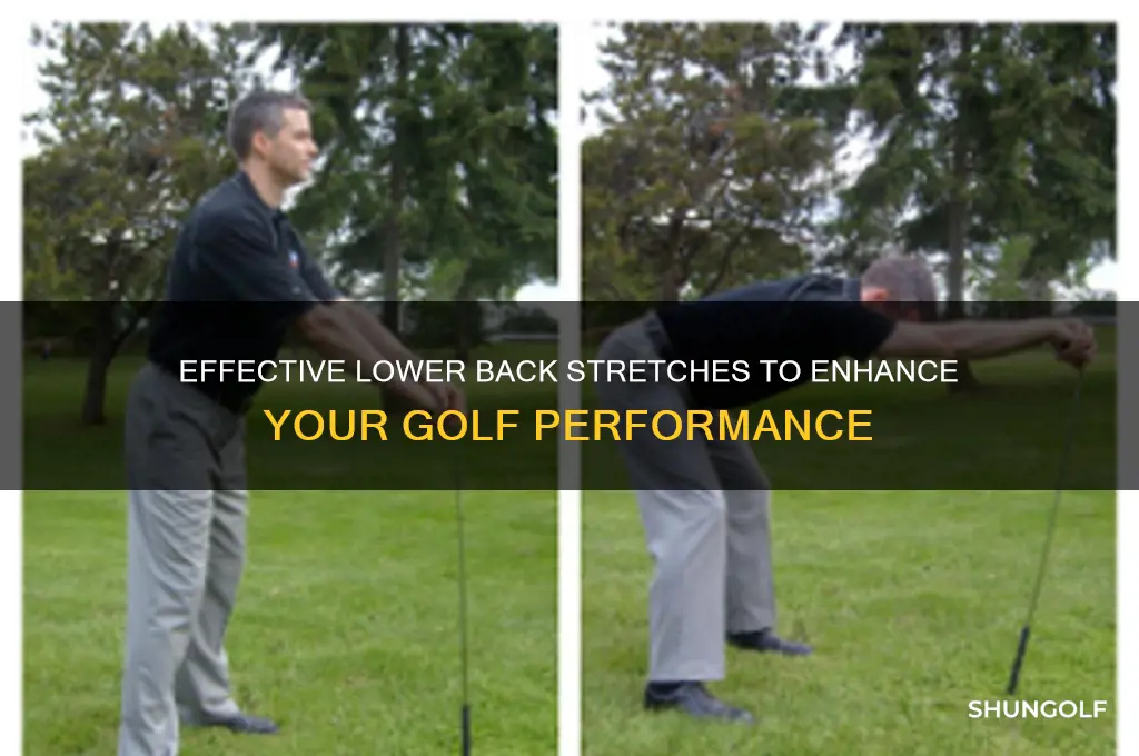 how to stretch lower back before golf