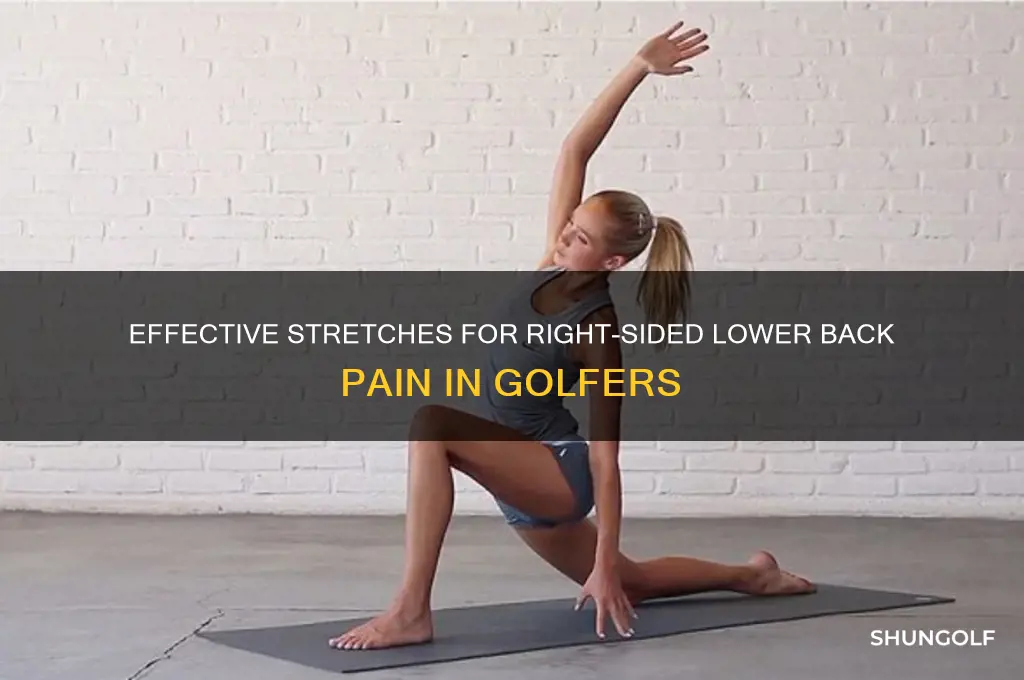 how to stretch lower back on right side golfer