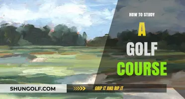 Exploring the Fairways: A Beginner's Guide to Golf Course Study