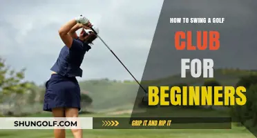 Mastering the Golf Swing: Beginner's Guide to Perfect Technique