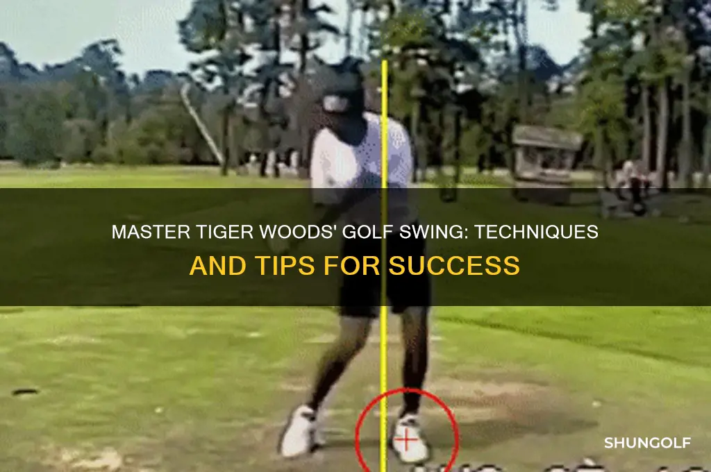 how to swing a golf club like tiger woiods