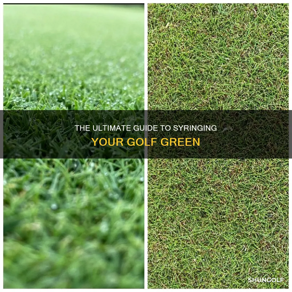 how to syringe a golf green