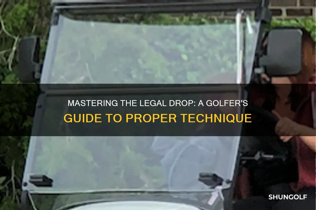 how to take a legal drop in golf