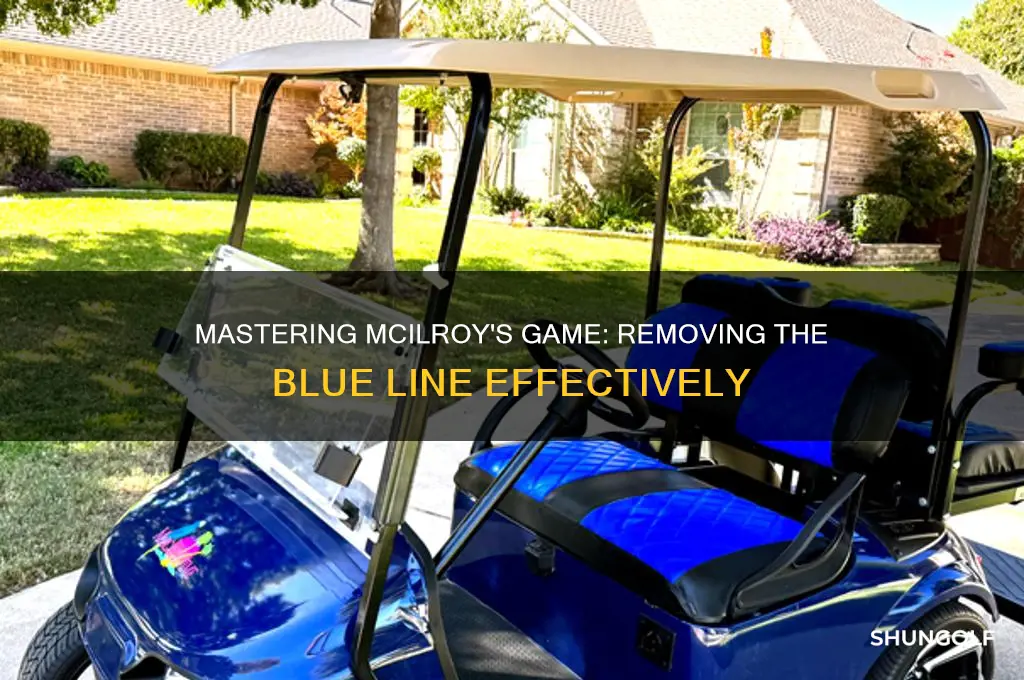 how to take blue line off rory mcilroy golf game