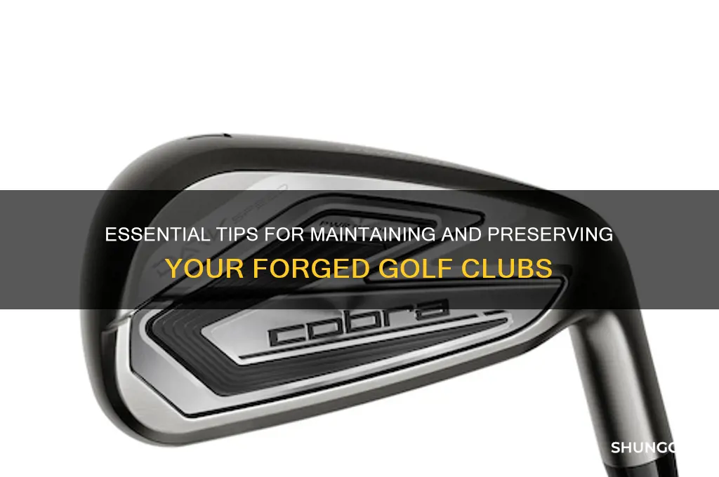 how to take care of forged golf clubs