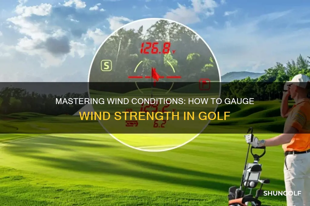 how to tell how hard the wind is blowing golf
