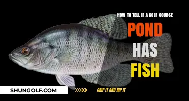 Discovering Aquatic Life: Signs of Fish in Golf Course Ponds