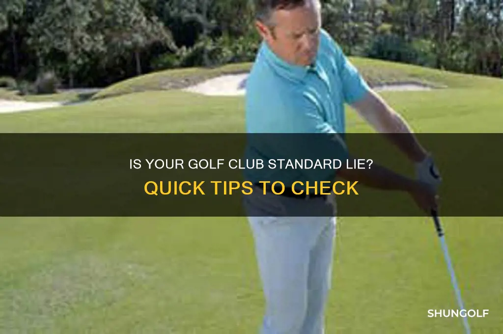 how to tell if golf club is standard lie