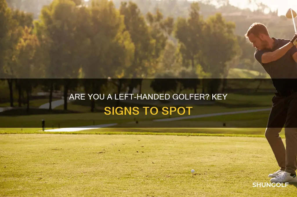 how to tell if you are a left handed golfer