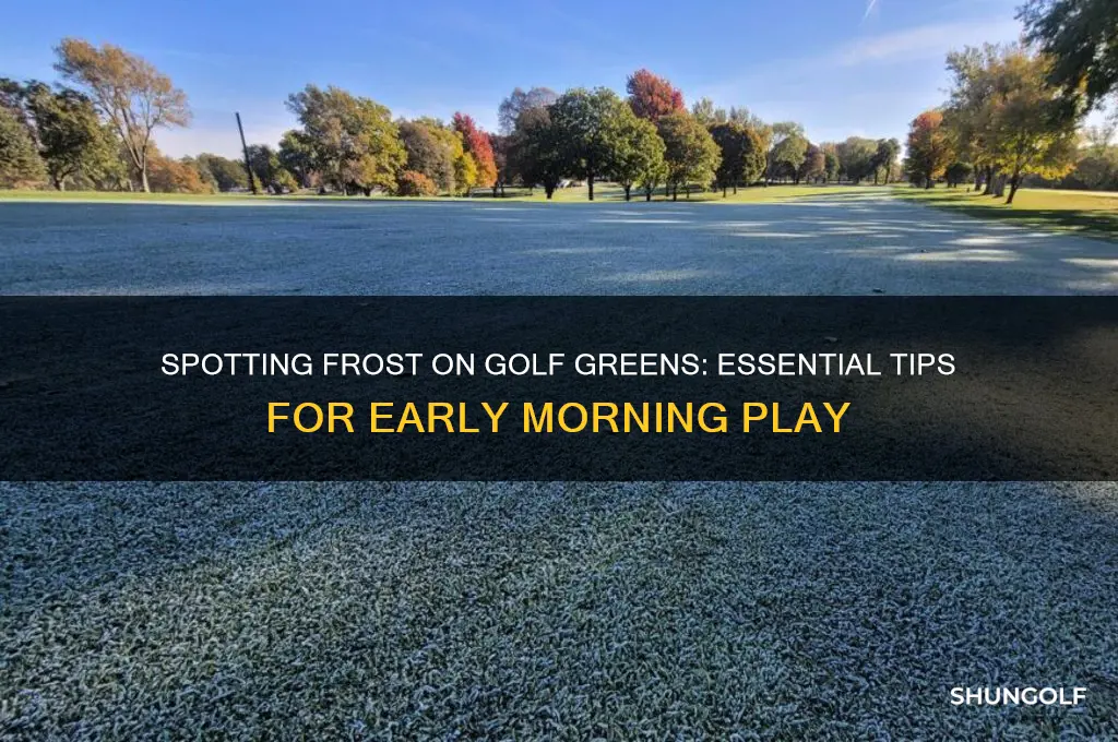 how to tell if your golf green is frosted over